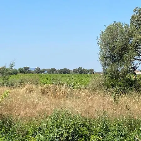 Lägenhet Climatise Avec Parking