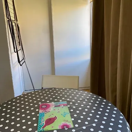 Apartment Climatise Avec Parking *